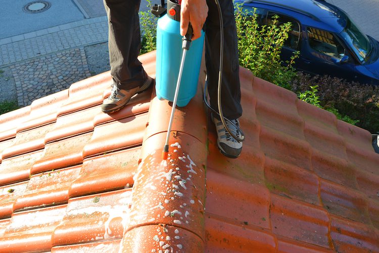 Spraying Roof Tiles with Pressure Sprayer | One Stop Home Improvement Shop