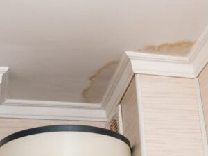 roof leak